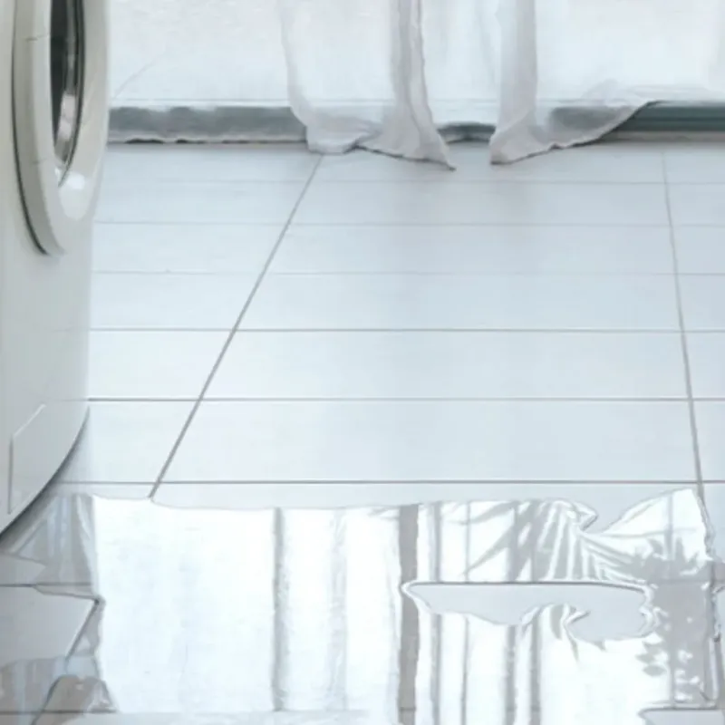 Appliance Leak Cleanup in Boone County, IN