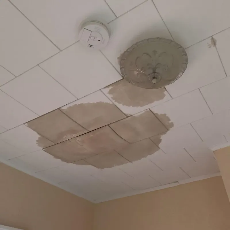 Ceiling Water Damage Repair in Boone County, IN