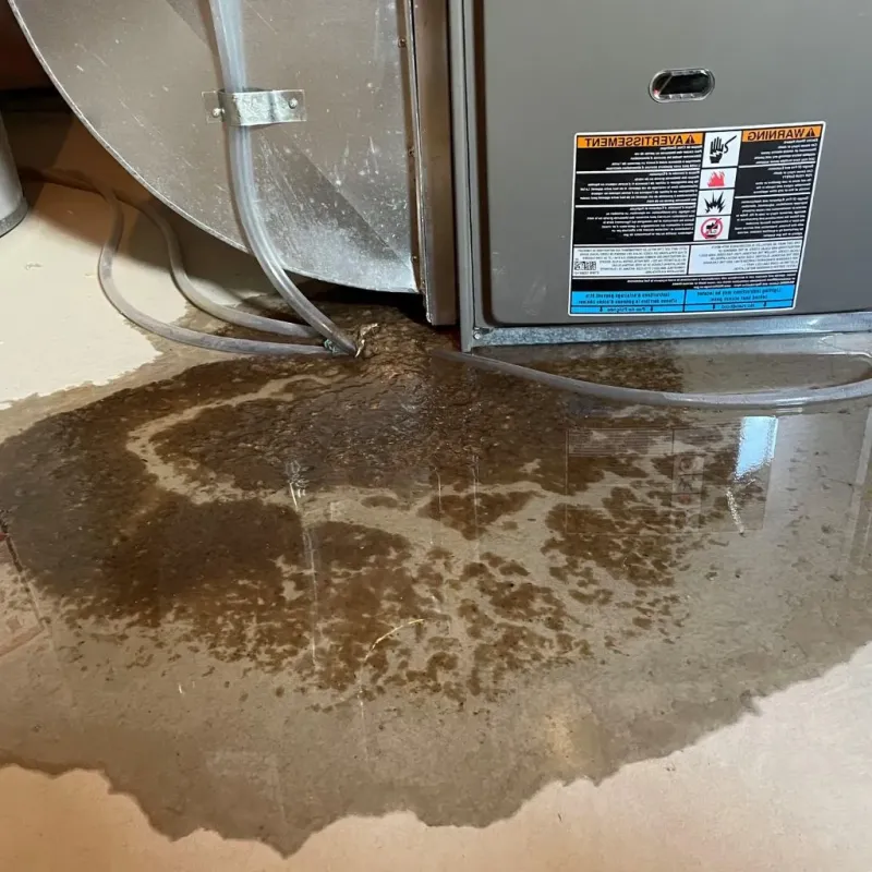 Pipe Burst and Leak Restoration in Boone County, IN